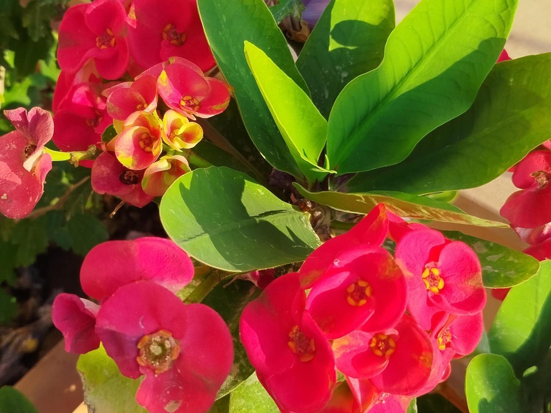 Profumo Di Mare 1 Villa Alcamo Marina Kültér fotó